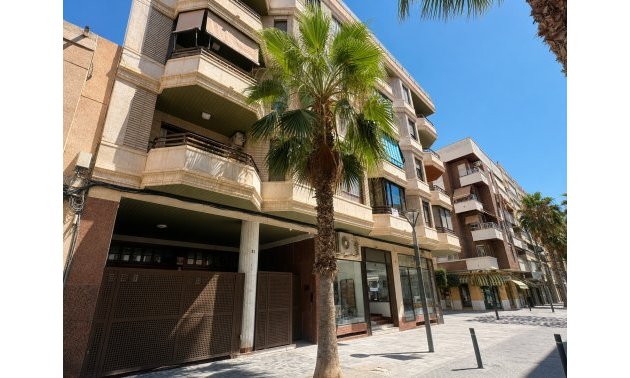 Apartament / Duplex - Resale - Torrevieja -
                Torrevieja