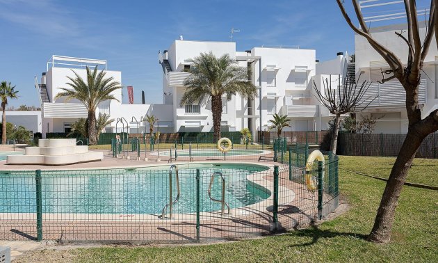 Apartamento / piso - Obra nueva - Vera -
                El Playazo