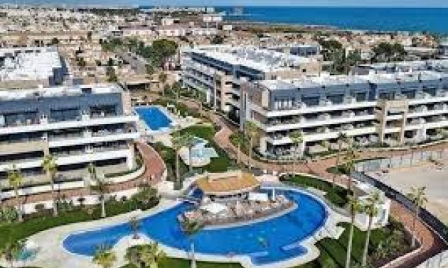 Apartamento / piso - Reventa - Orihuela Costa - Playa Flamenca