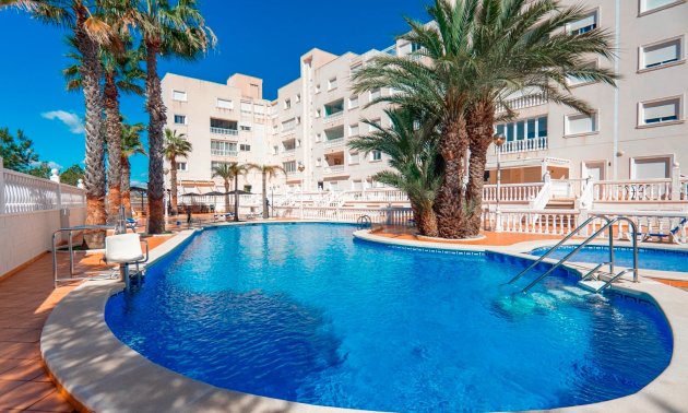 Apartment / flat - Resale - Guardamar del Segura -
                El Eden