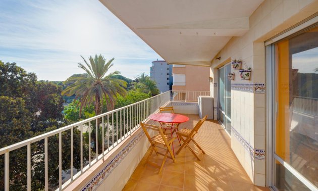 Apartment / flat - Resale - Guardamar del Segura -
                Pinomar