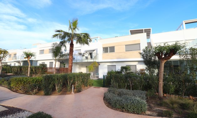 Apartment / flat - Resale - Los Montesinos -
                Entre Naranjos / Vistabella Golf