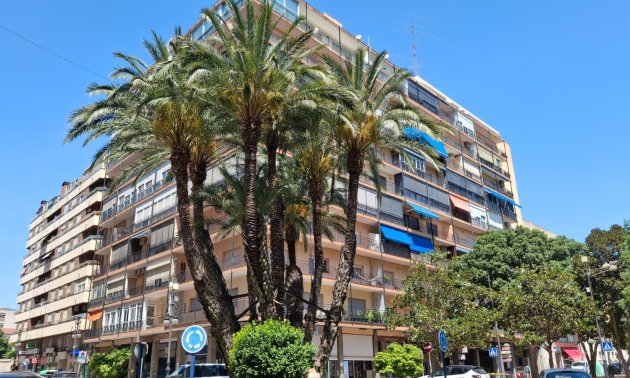 Apartment / flat - Resale - Orihuela -
                Orihuela - City