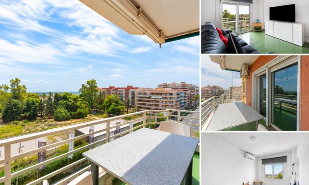 Apartment / flat - Resale - Torrevieja - Acequion