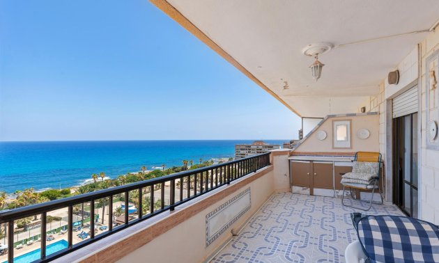 Apartment / flat - Resale - Torrevieja -
                Cabo cervera