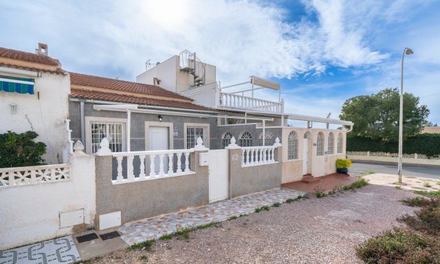 Bungalowy - Rynek wtórny - Torrevieja - El Chaparral