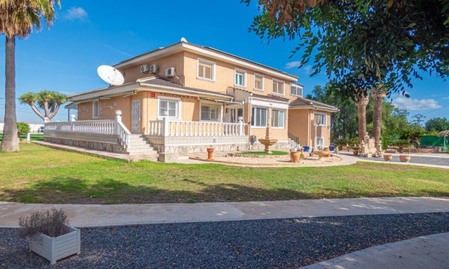 Country House - Resale - San Miguel de Salinas -
                San Miguel - Country