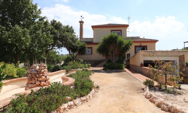 Finca - Resale - Algorfa -
                Algorfa - Country