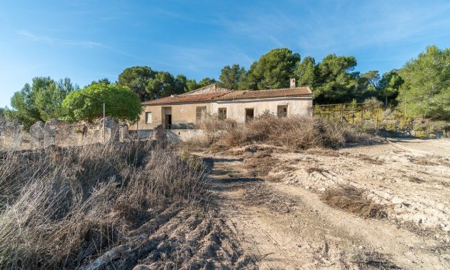 Finca - Resale - Pilar de la Horadada -
                Pinar de la Perdiz