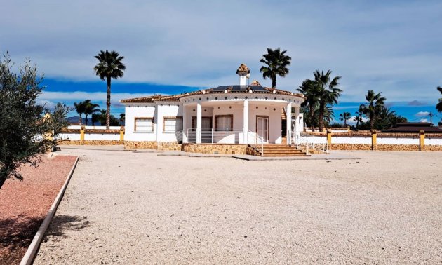 Finca - Reventa -
            Catral - 99RV-54823