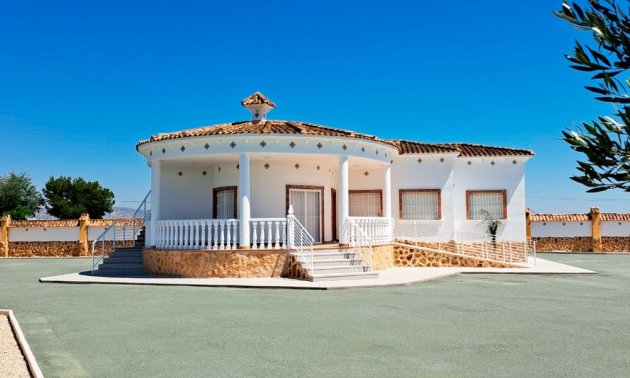 Finca - Reventa - Catral - Catral - Country