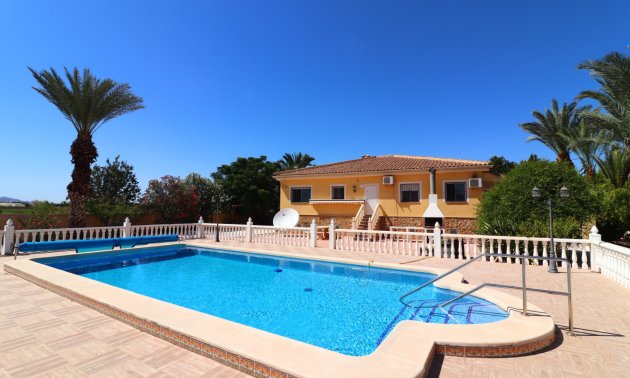 Finca - Reventa - Catral - Catral - Country