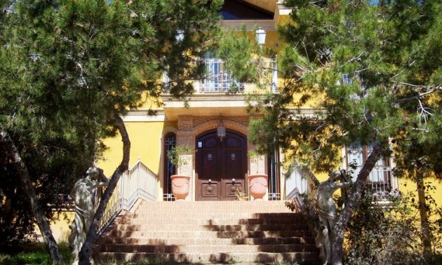 Finca - Reventa - Ciudad Quesada -
                Lo Pepin
