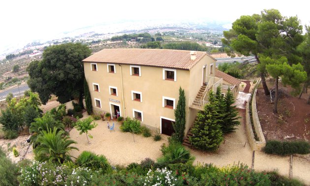 Finca - Reventa - Ibi -
                Ibi - Country