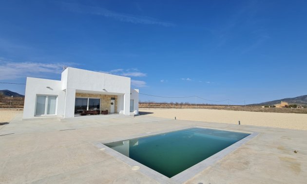 Finca - Reventa - Pinoso -
                Pinoso - Country