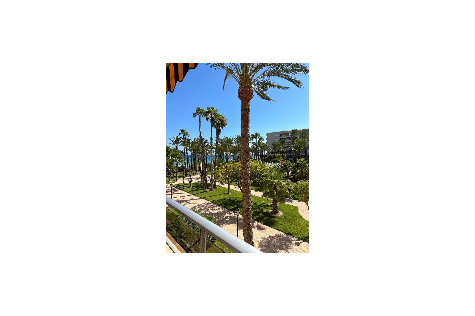 Long Term Rental - Apartment / flat -
Torrevieja - Los Frutales