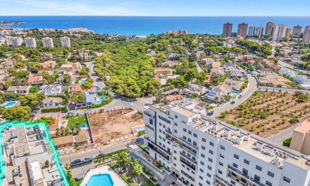 Mieszkanie  - Rynek wtórny - Dehesa de campoamor - Campoamor