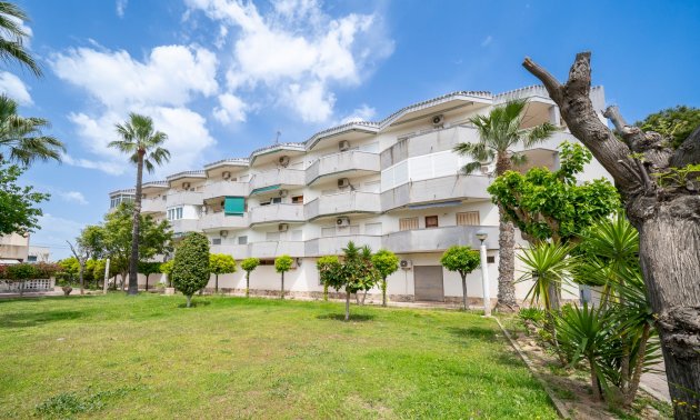 Mieszkanie  - Rynek wtórny - Orihuela Costa - Cabo Roig