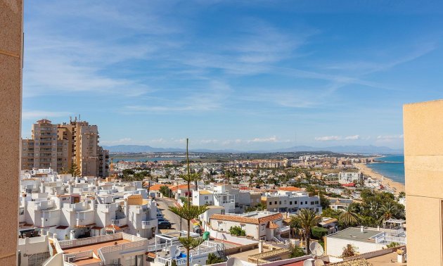 Mieszkanie  - Rynek wtórny - Torrevieja - Cabo cervera