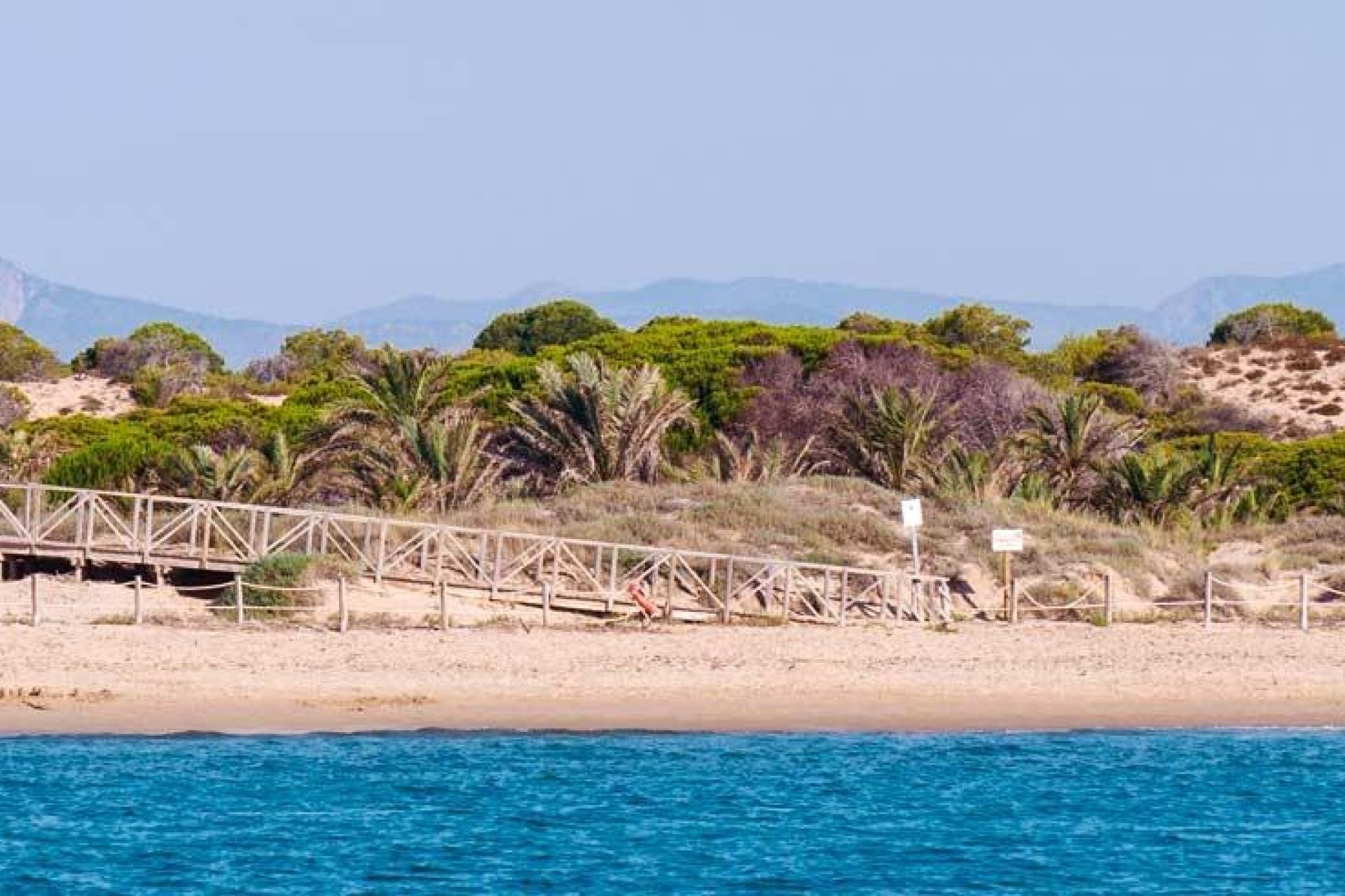 New Build - Apartment / flat -
Guardamar del Segura - Pueblo