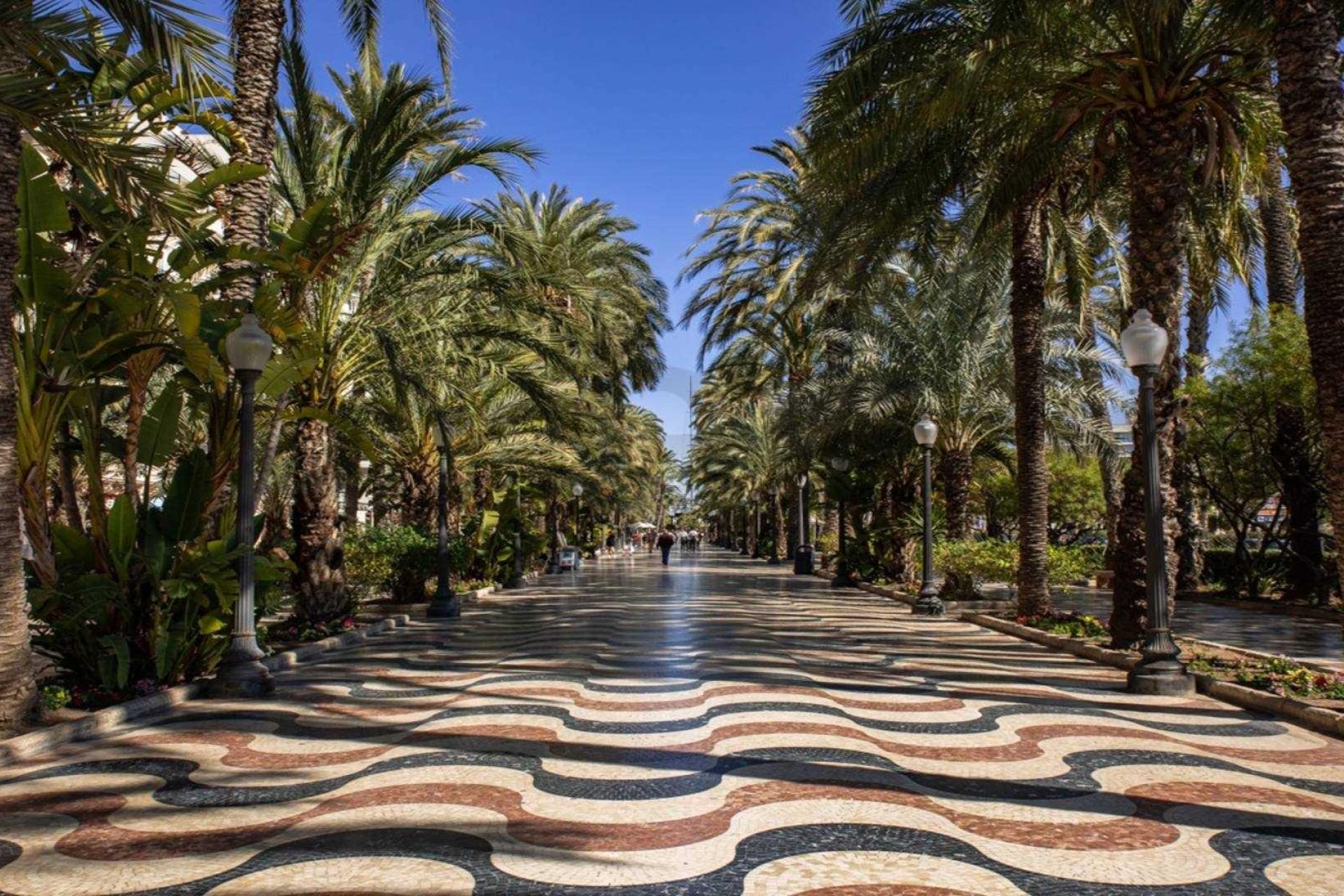 New Build - Penthouse -
Alicante - Centro