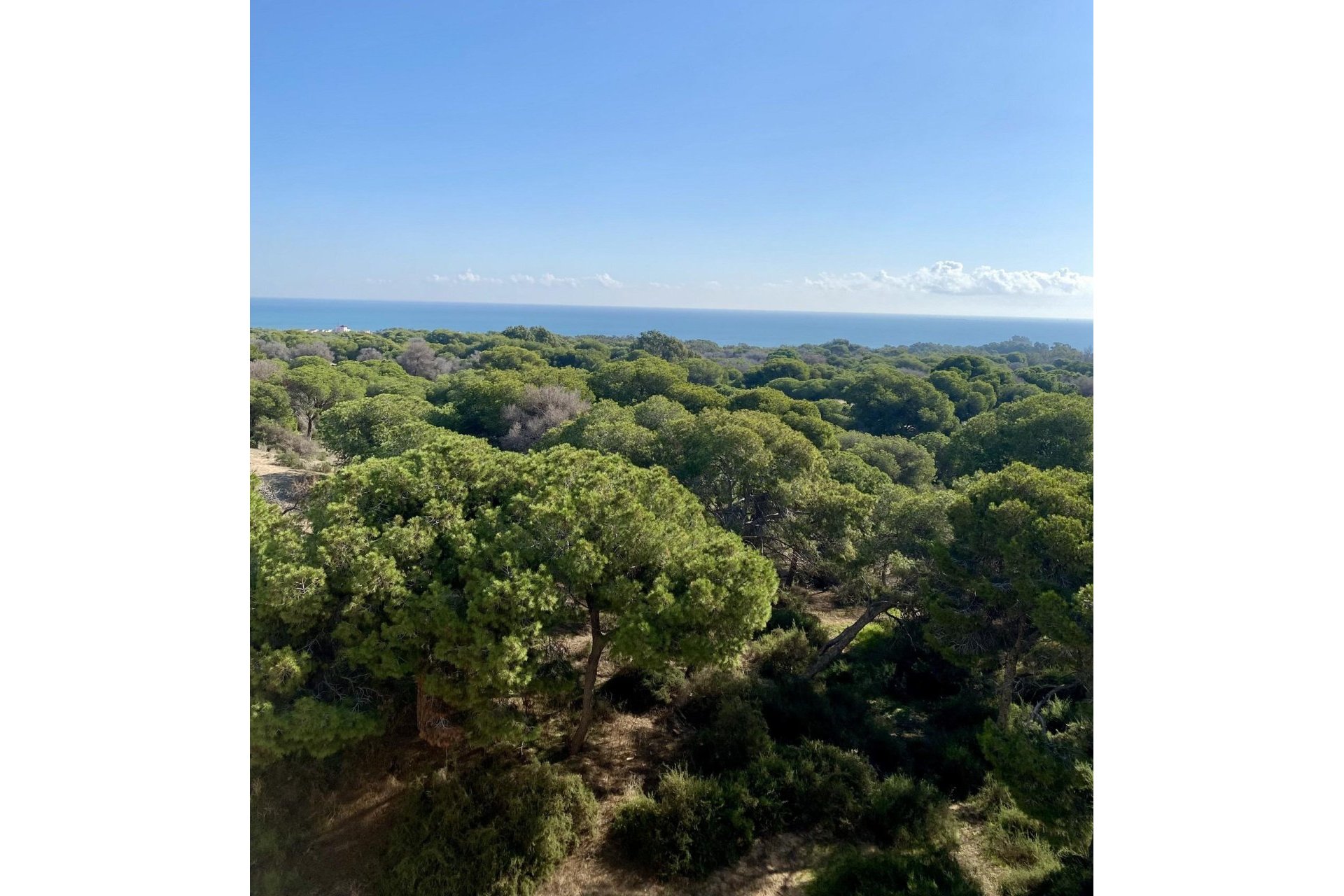 New Build - Penthouse -
Guardamar del Segura - CENTRO