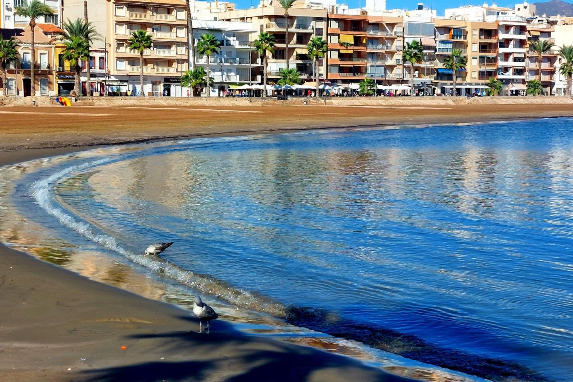 Obra nueva - Adosado -
Fuente Álamo - La Pinilla