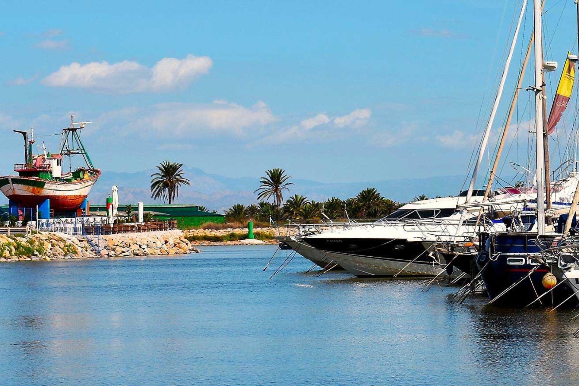 Obra nueva - Apartamento / piso -
Guardamar del Segura - Avda del Puerto