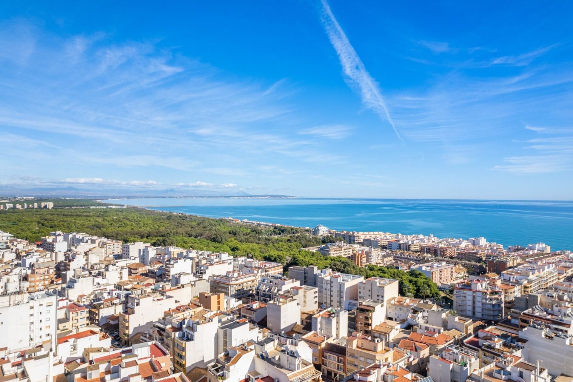 Obra nueva - Apartamento / piso -
Guardamar del Segura - CENTRO