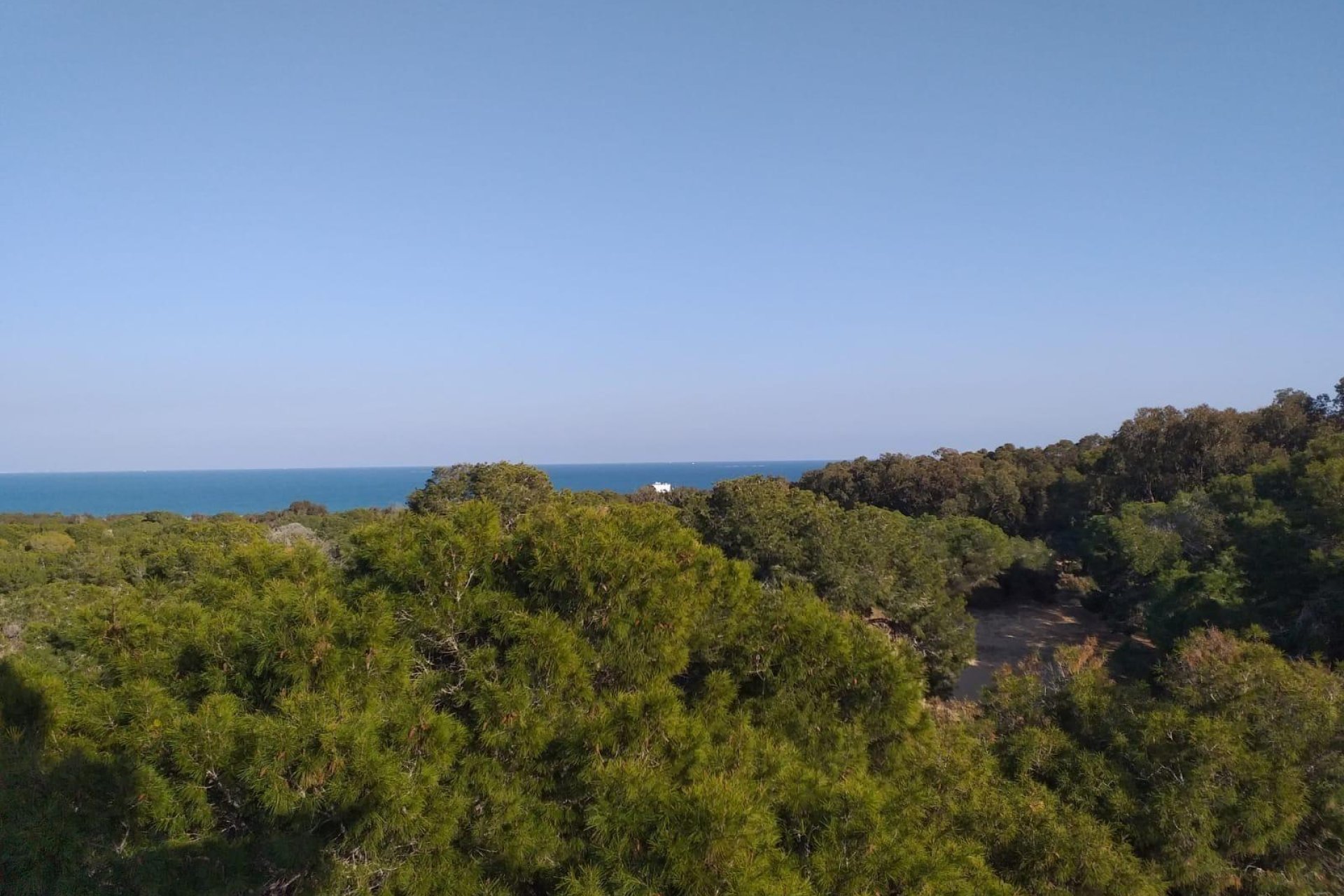 Obra nueva - Apartamento / piso -
Guardamar del Segura - Pueblo