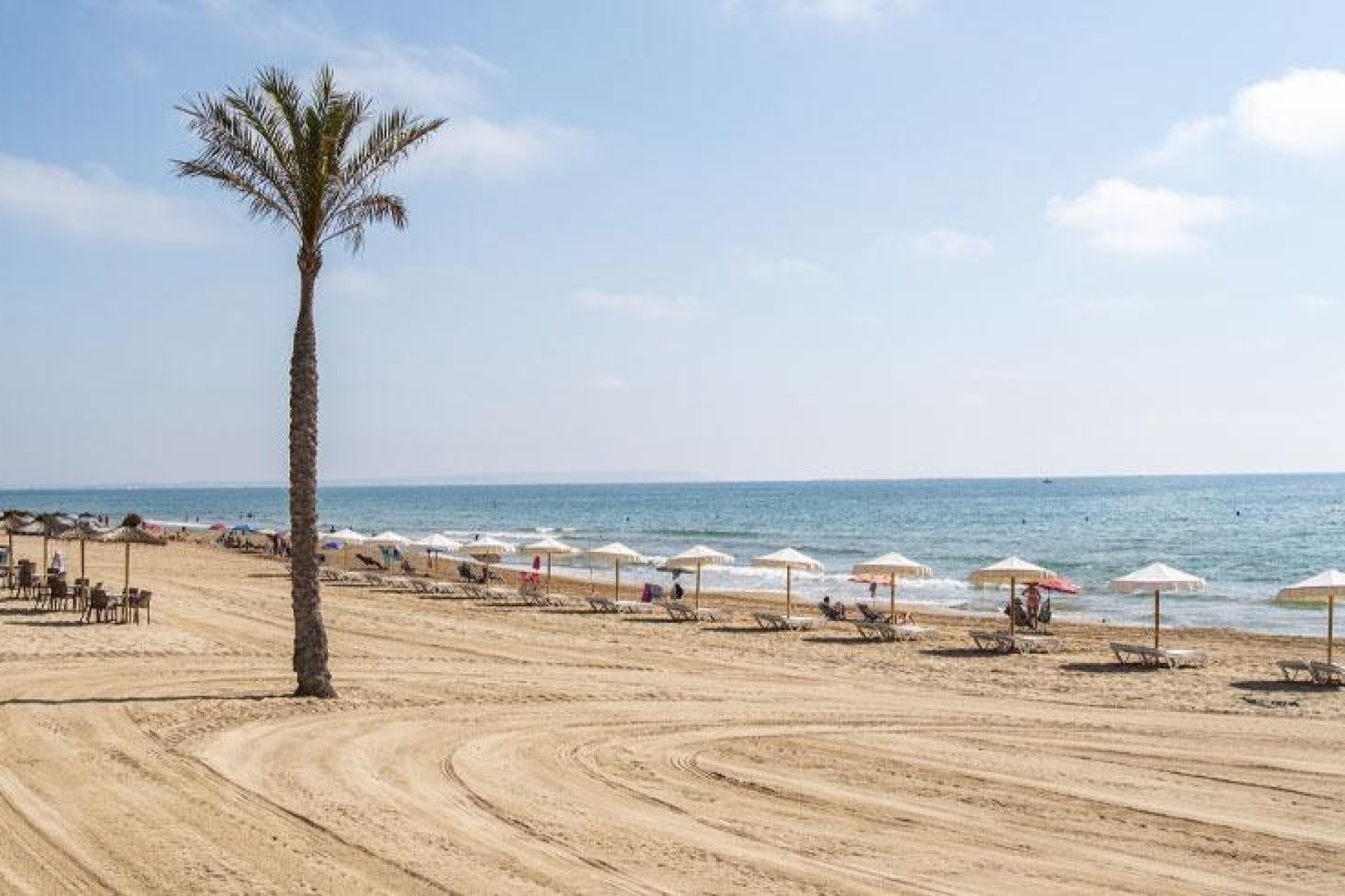 Obra nueva - Apartamento / piso -
Guardamar del Segura - Pueblo