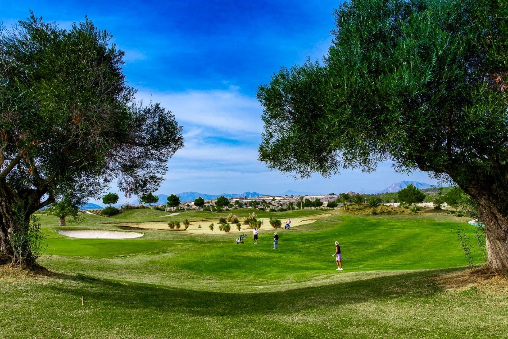 Obra nueva - Bungalow -
Orihuela - Vistabella Golf