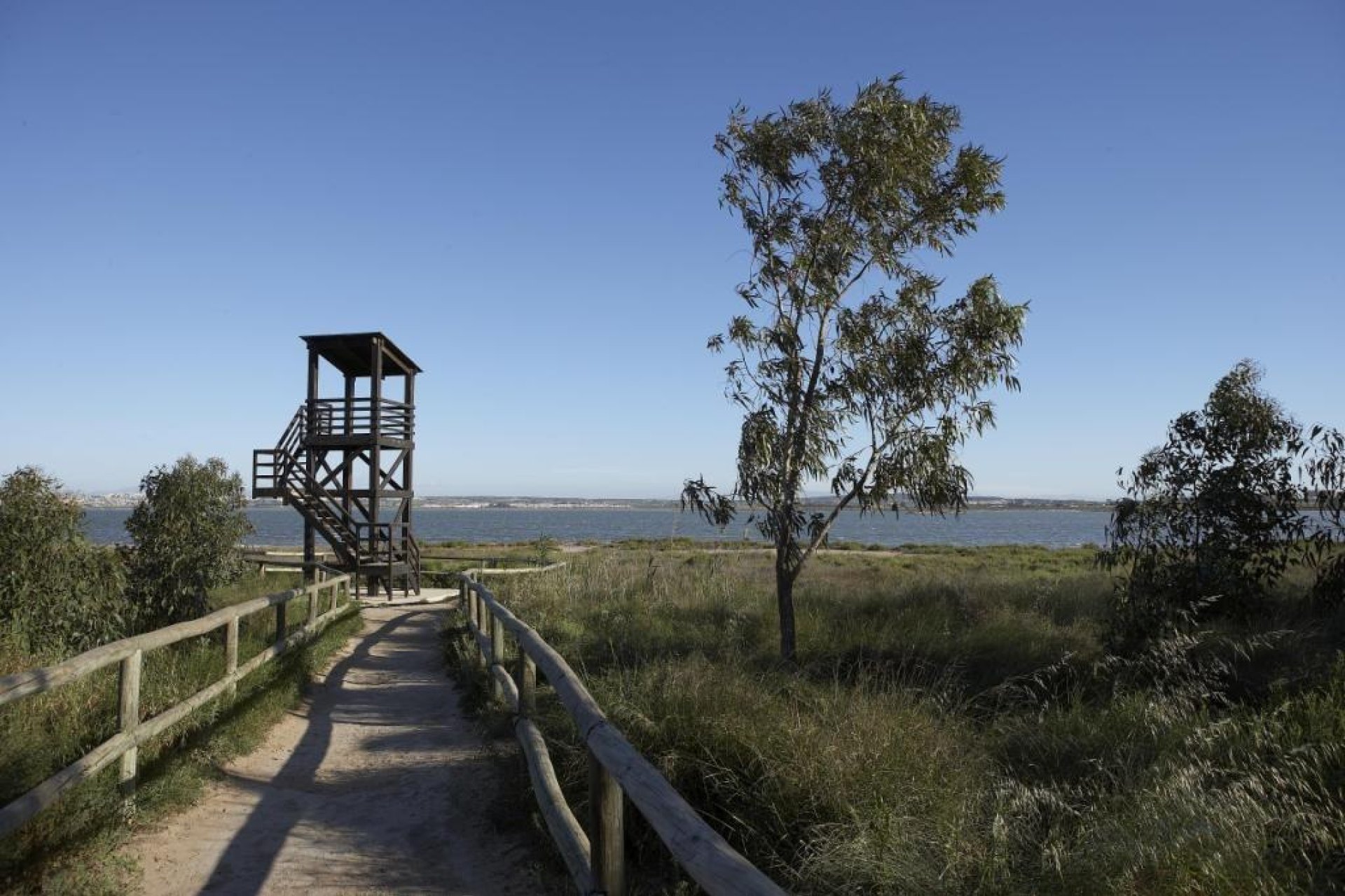 Obra nueva - Bungalow Planta Alta -
Torrevieja - Torrejón