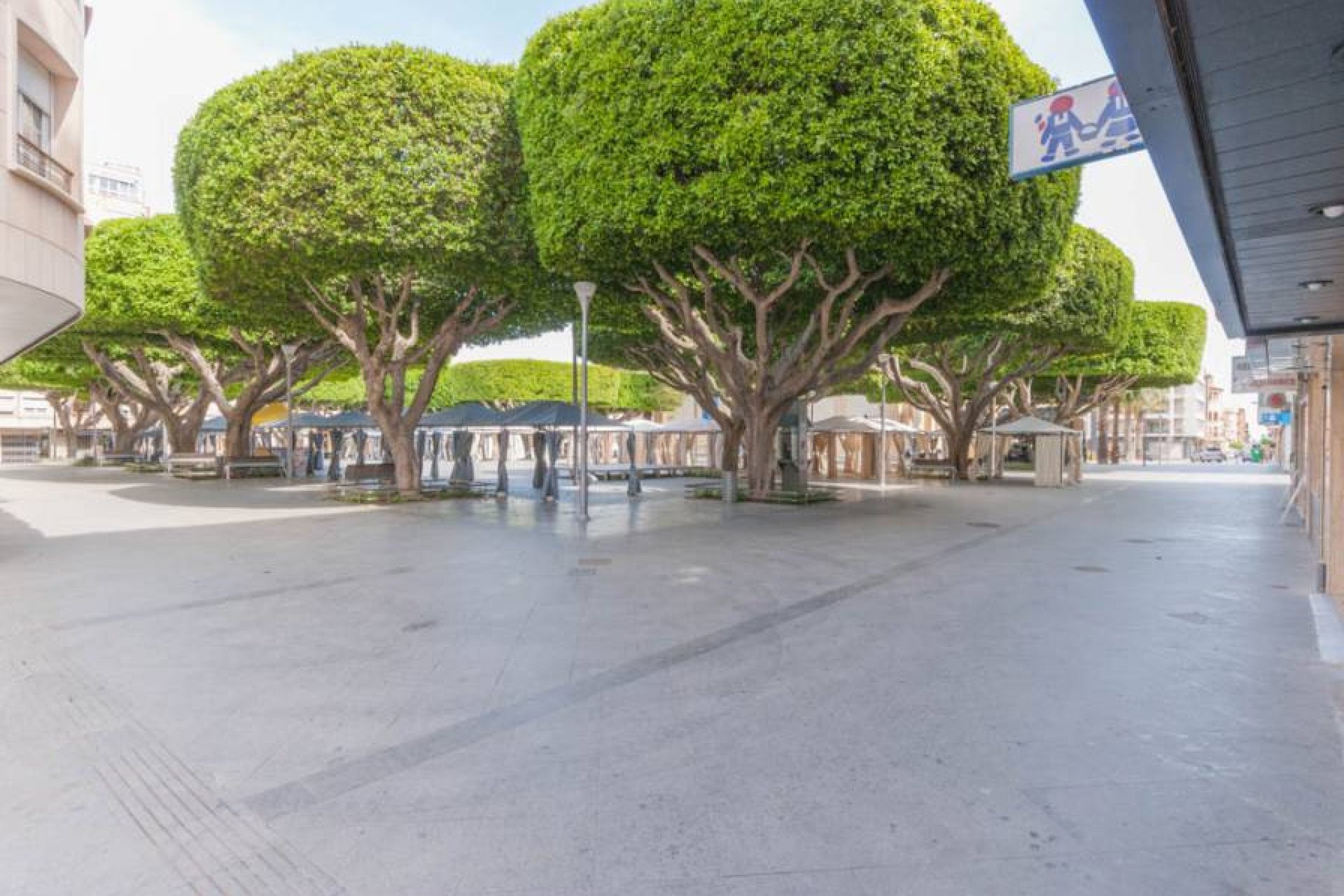 Obra nueva - Comercial -
Almoradí - Almoradí Centro