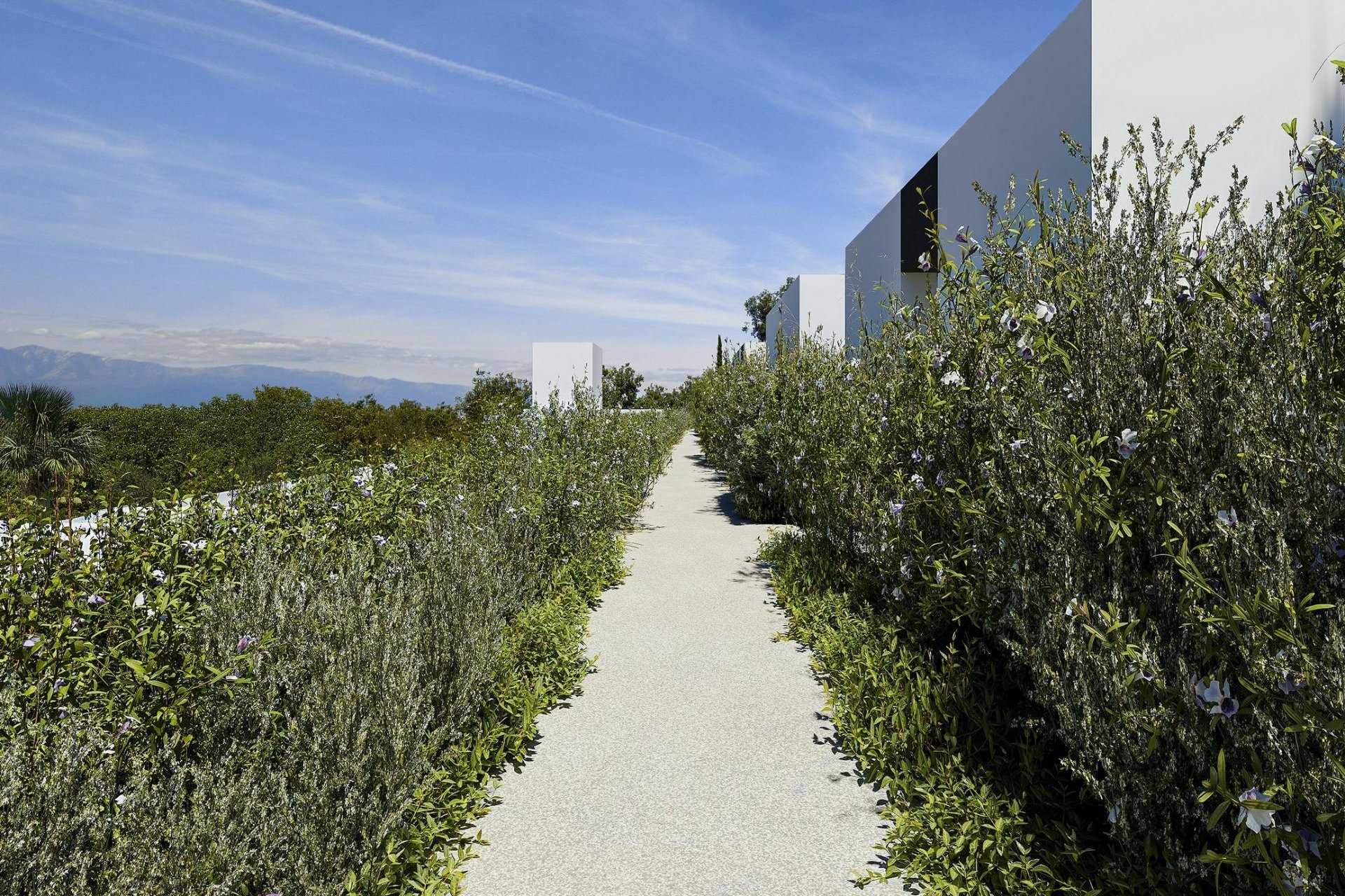 Obra nueva - Villa -
Alfas del Pí - Barranc Fondo