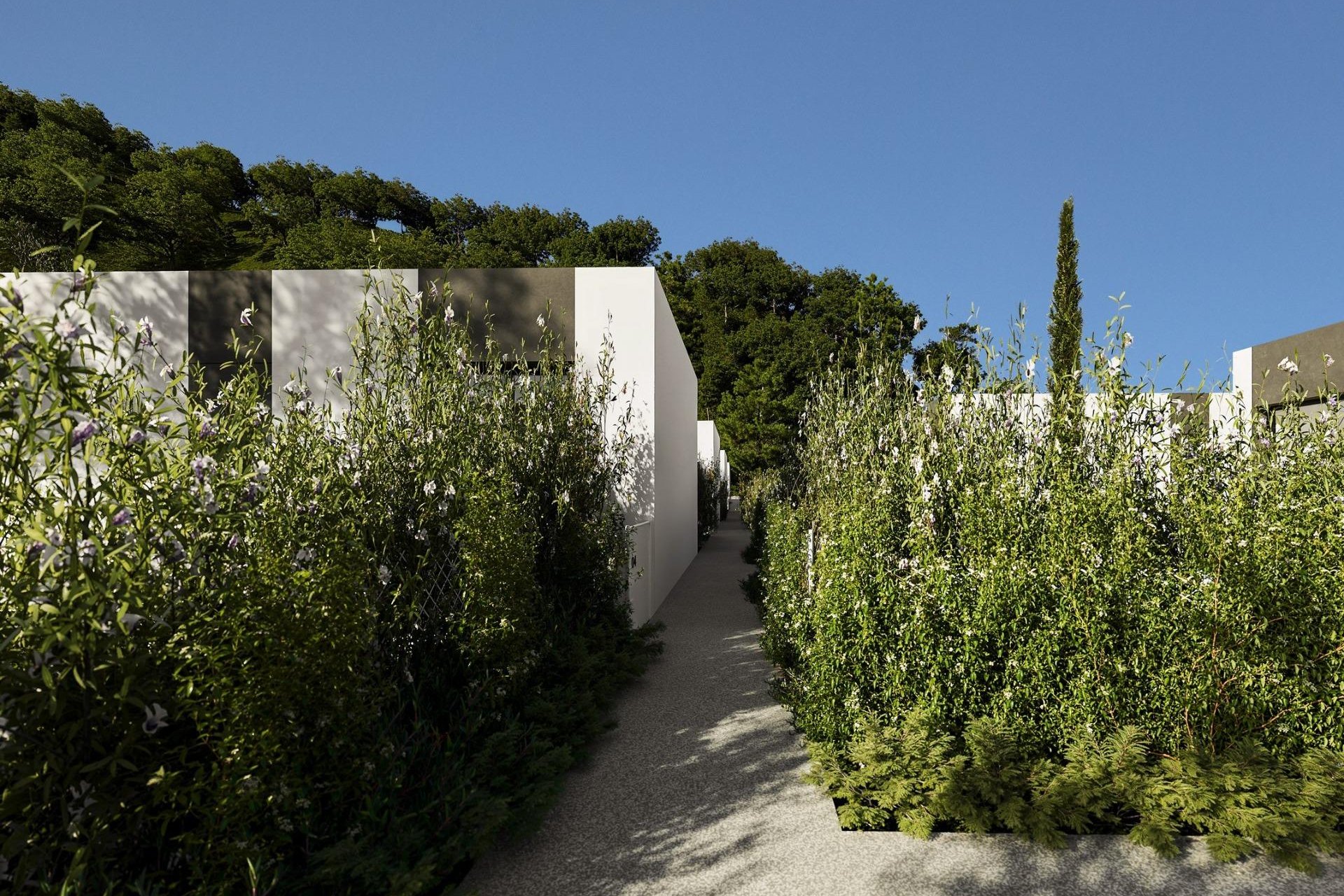 Obra nueva - Villa -
Alfas del Pí - Barranc Fondo