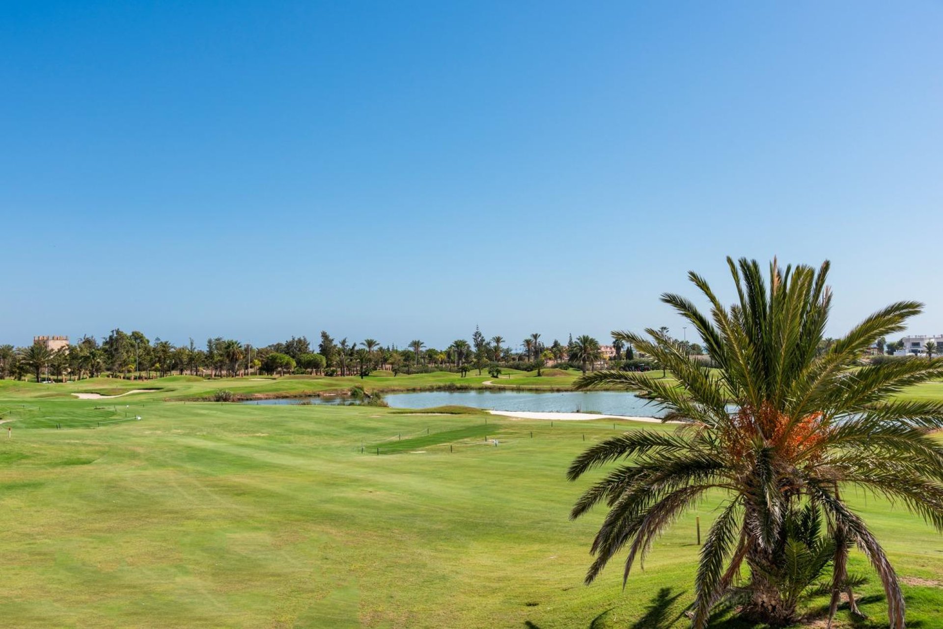 Obra nueva - Villa -
Los Alcázares - Serena Golf