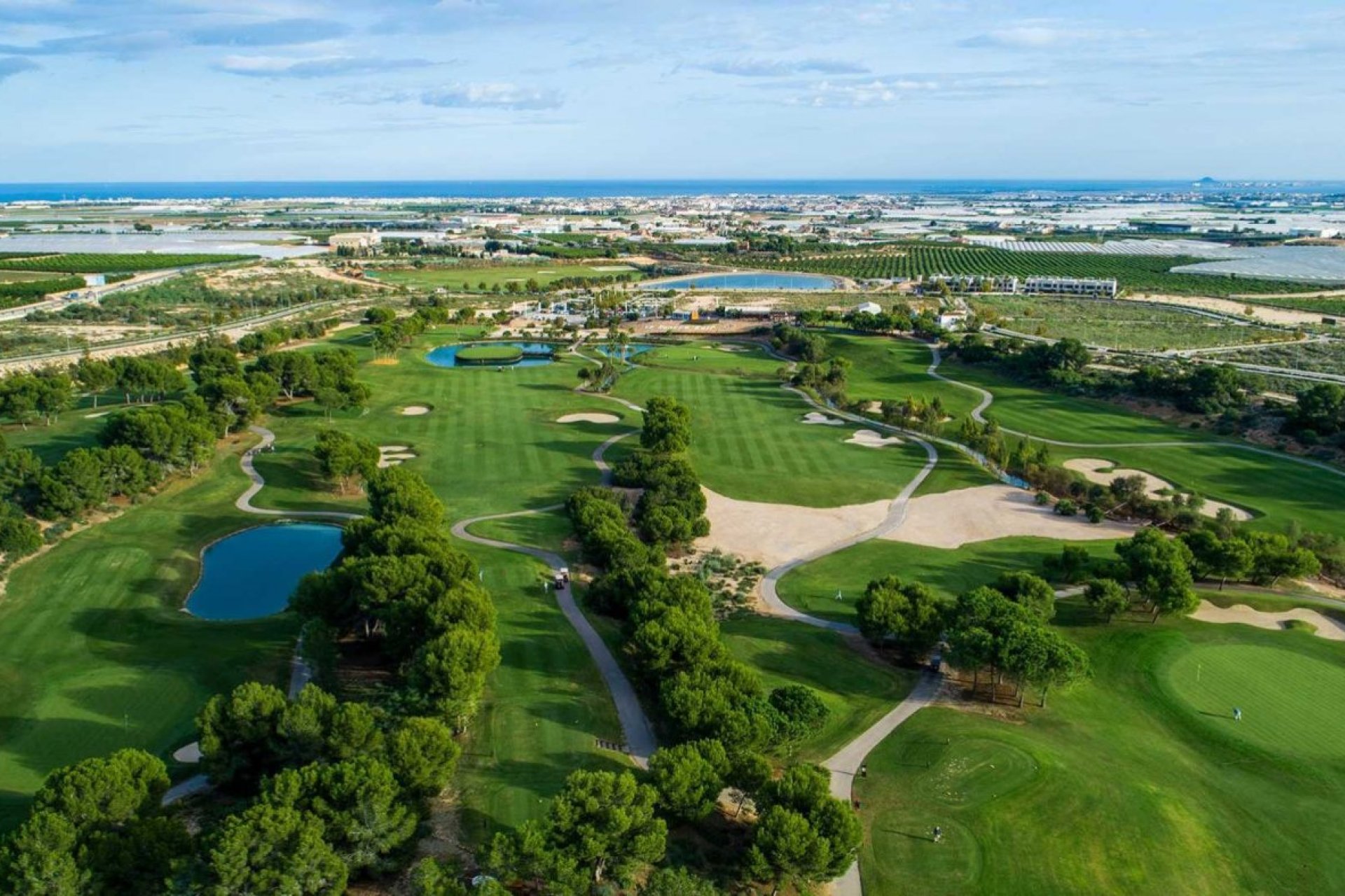 Obra nueva - Villa -
Pilar de la Horadada - Lo Romero Golf