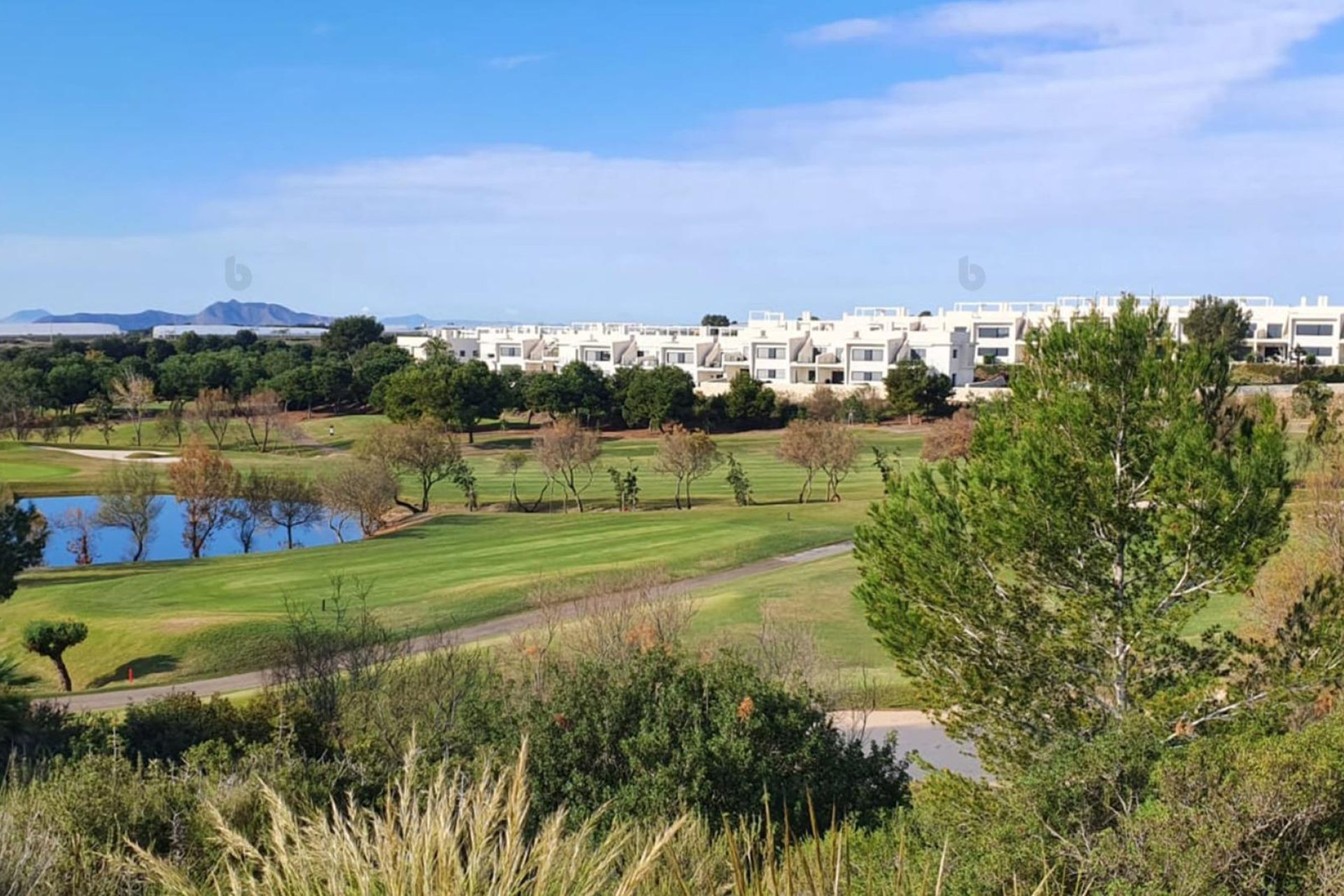 Obra nueva - Villa -
Pilar de la Horadada - Lo Romero Golf