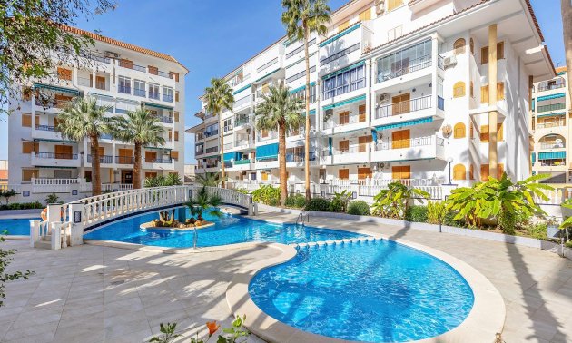 Penthouse - Resale - Torrevieja -
                Los Europeos