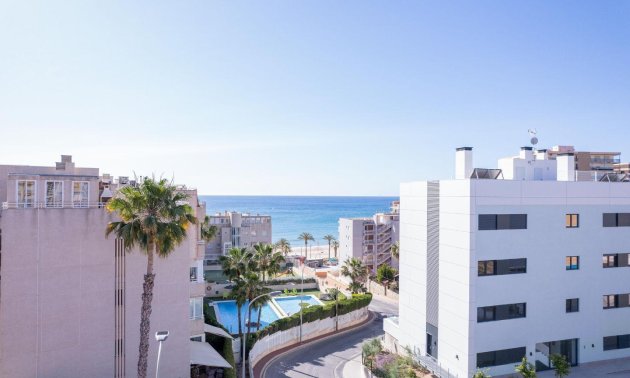 Penthouse - Rynek pierwotny - El Campello -
                Muchavista
