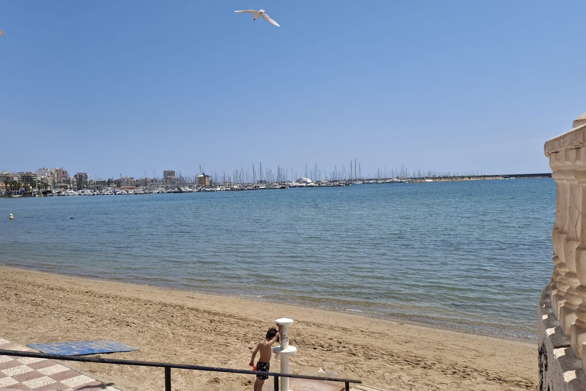 Resale - Apartament / Duplex -
Torrevieja - Playa Acequion