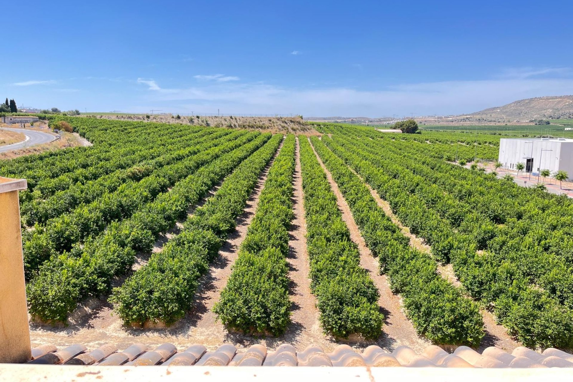 Resale - Apartment / flat -
Algorfa - Algorfa - Village