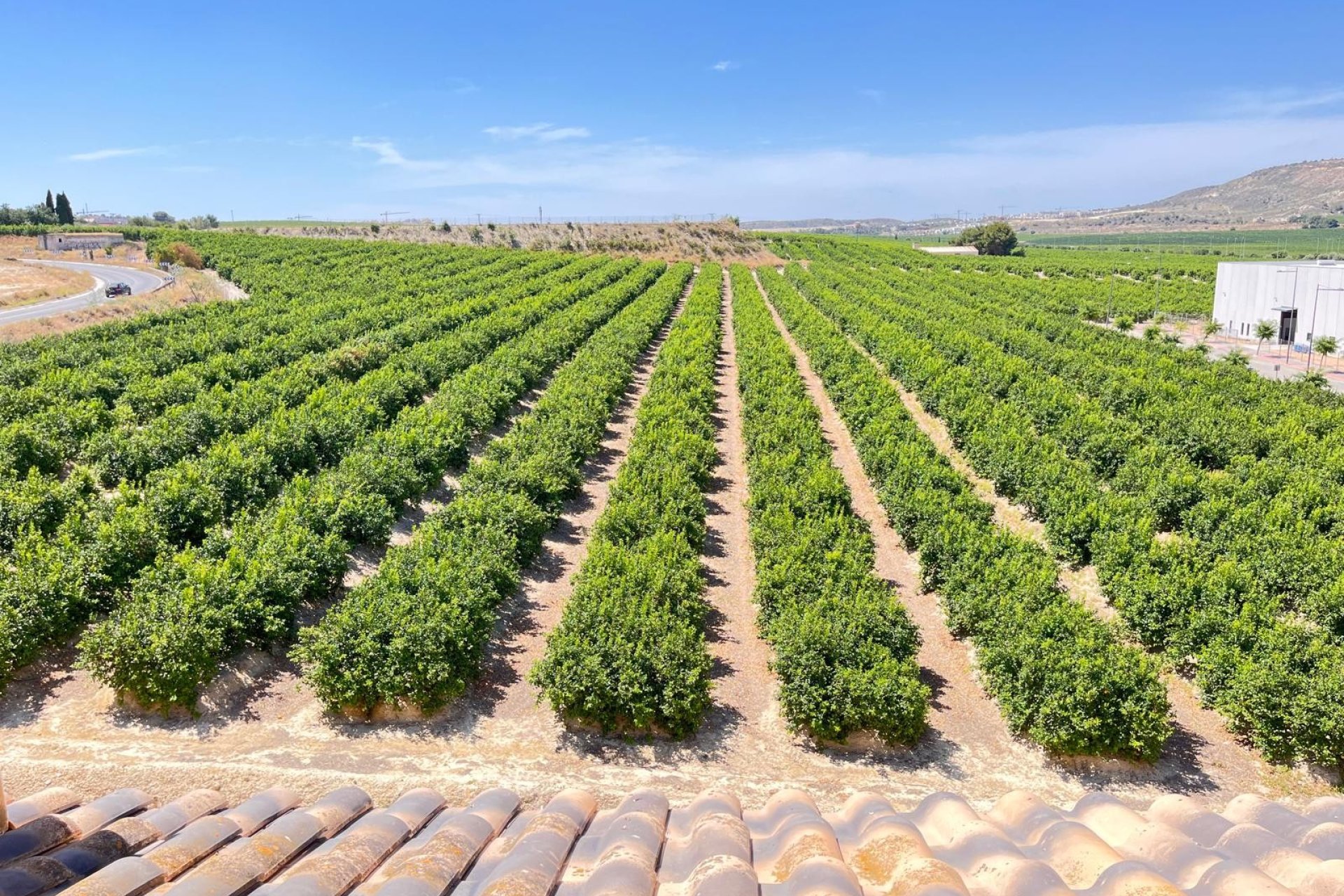 Resale - Apartment / flat -
Algorfa - Algorfa - Village