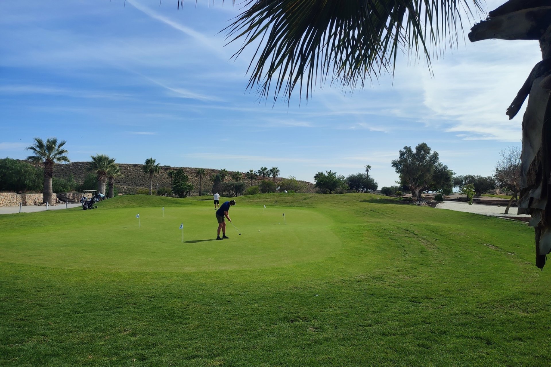 Resale - Apartment / flat -
Altaona Golf - Country Village