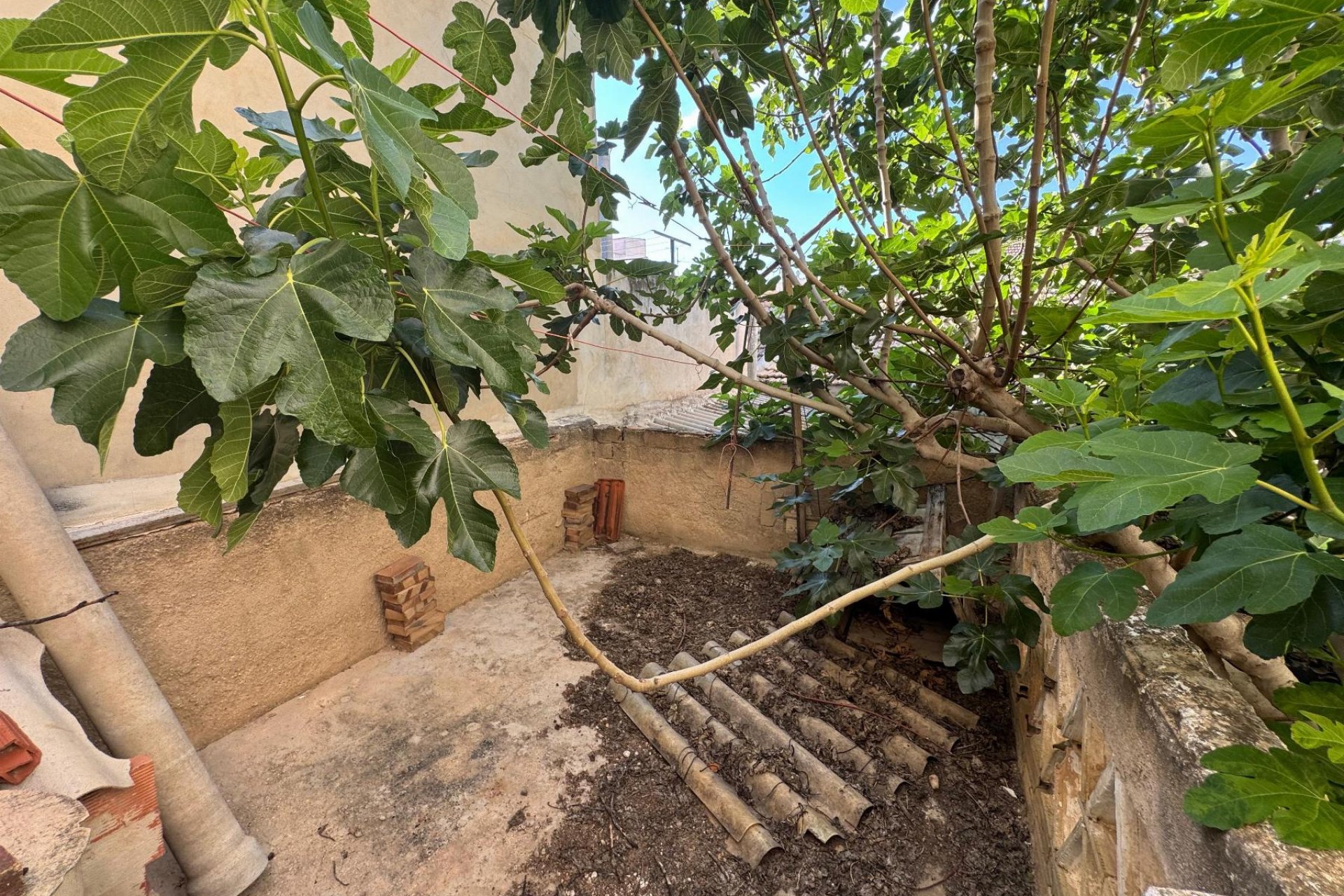 Resale - Apartment / flat -
Benejúzar