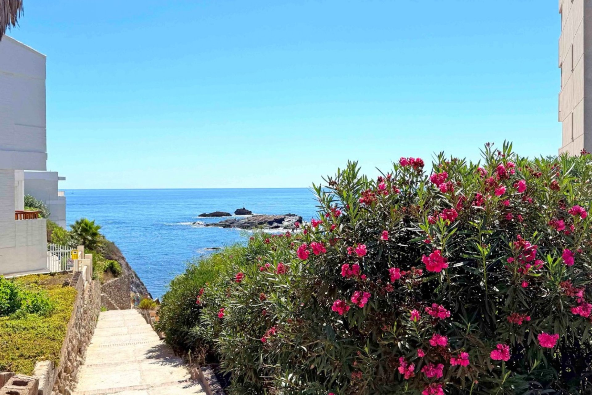 Resale - Apartment / flat -
Cartagena - Cabo de Palos