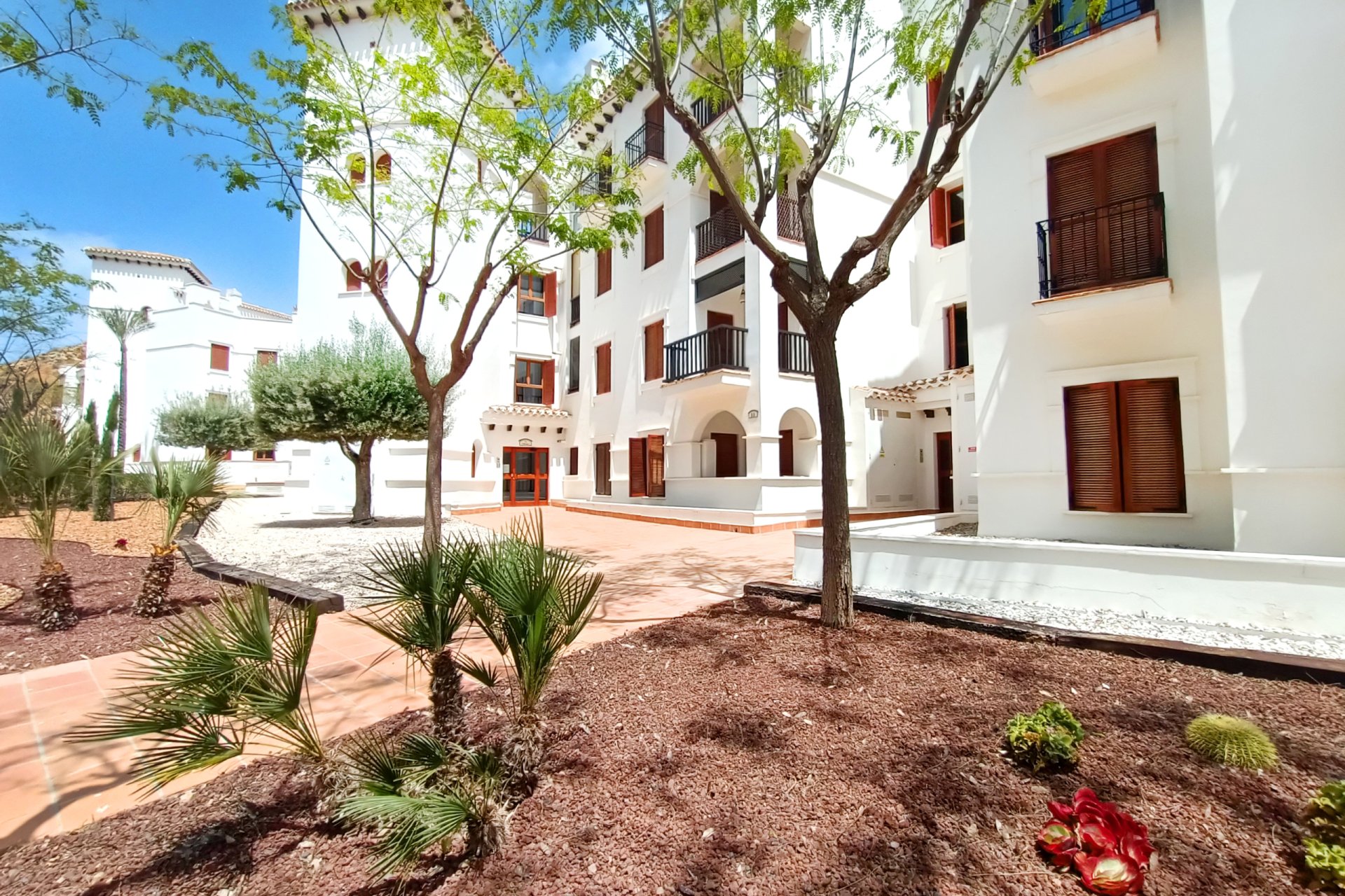 Resale - Apartment / flat -
El Valle Golf Resort - El Valle Golf Resort - Centre