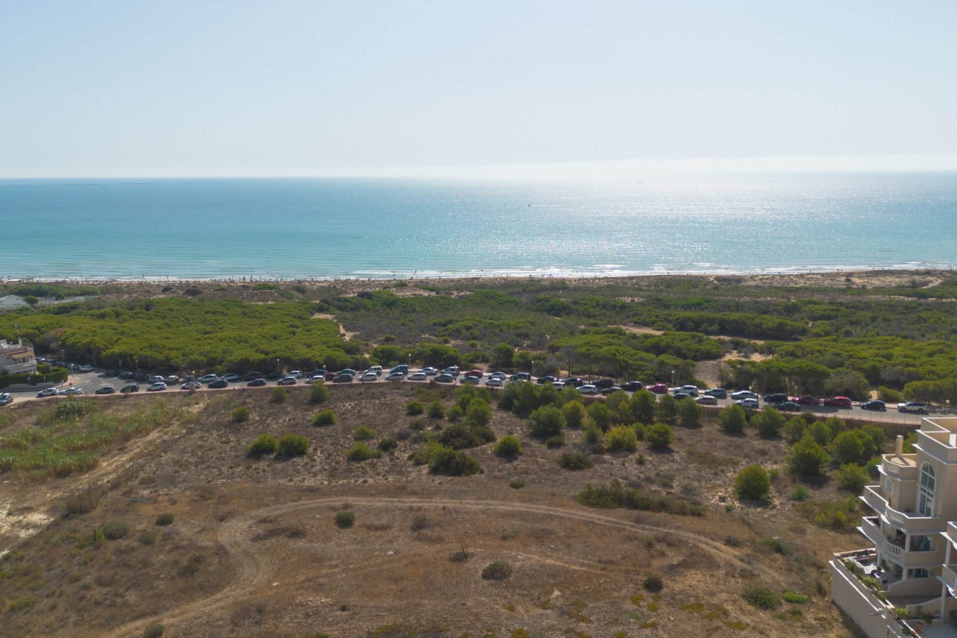 Resale - Apartment / flat -
Guardamar del Segura - Campomar