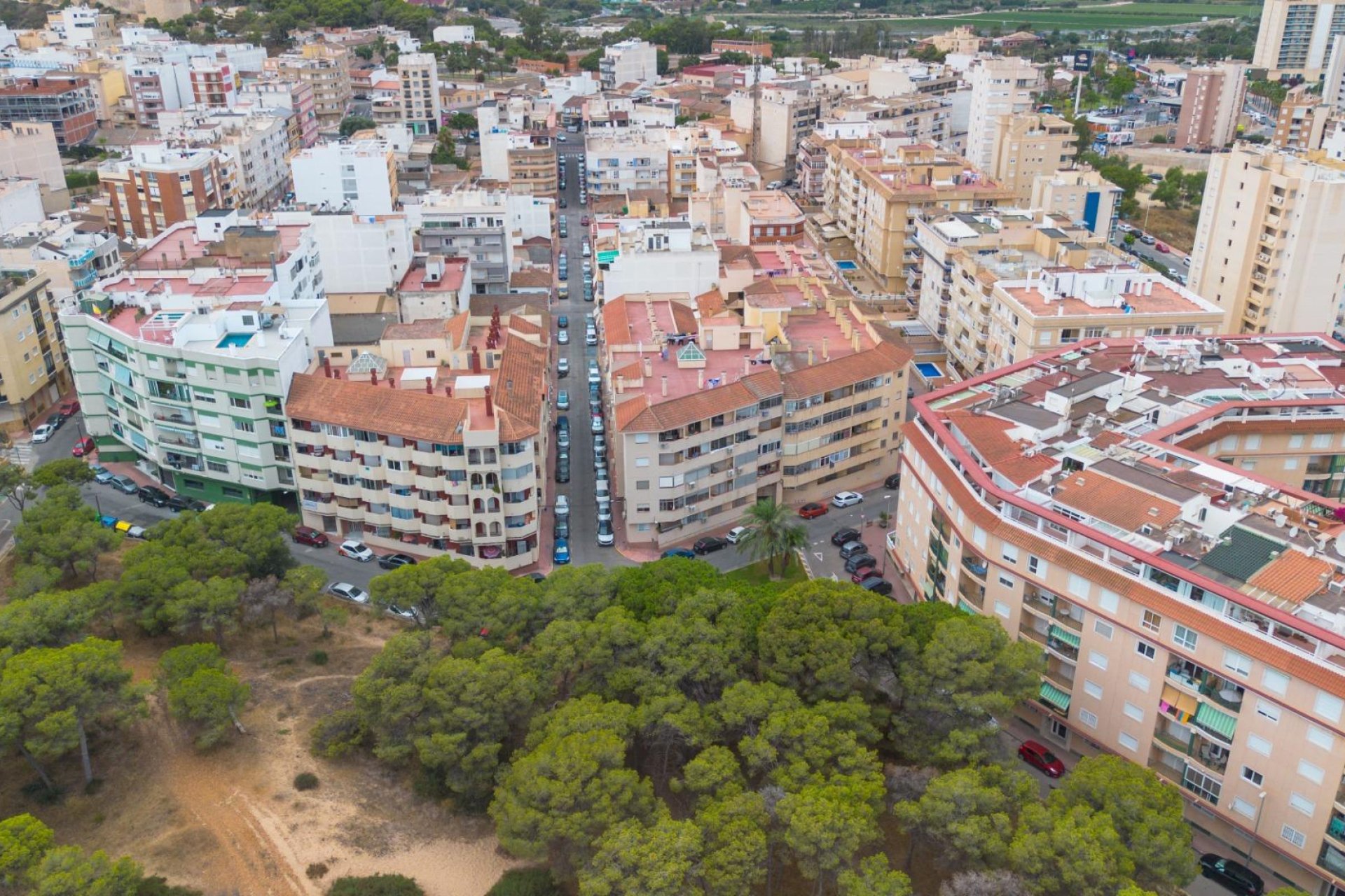 Resale - Apartment / flat -
Guardamar del Segura - CENTRO